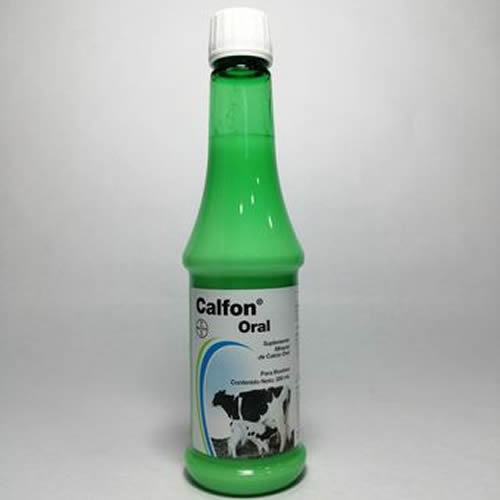 CALFON ORAL ENERGY  X 350 ML