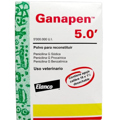 GANAPEN X 5.000.000