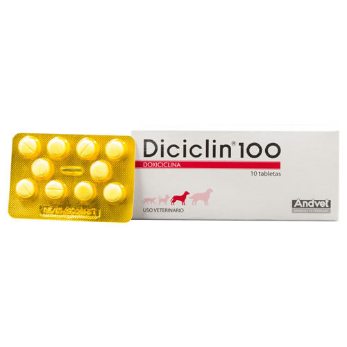 DICICLIN 100 MG X PASTA