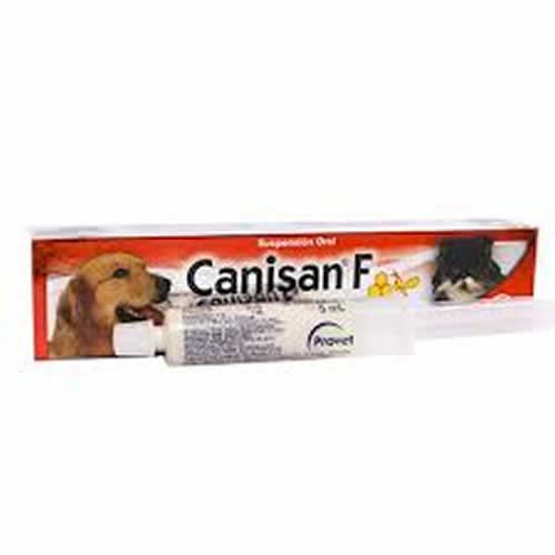 CANISAN -F X 10 CC