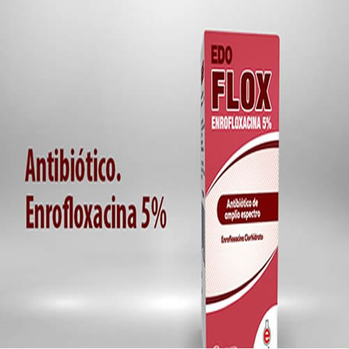 EDO FLOX X 10 ML