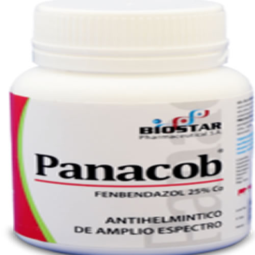 PANACOB X 100 ML