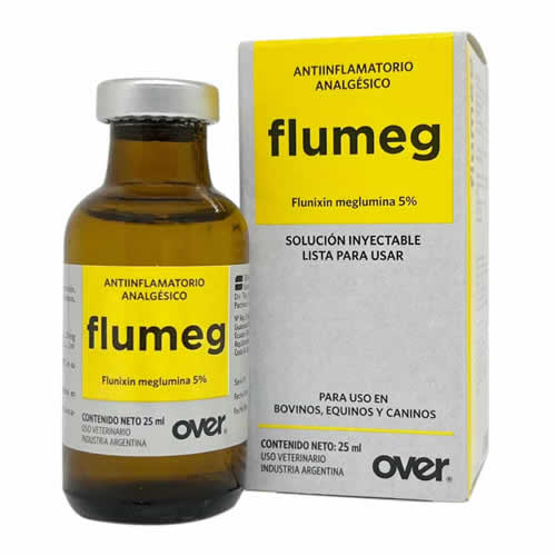 FLUMEG X 25 ML