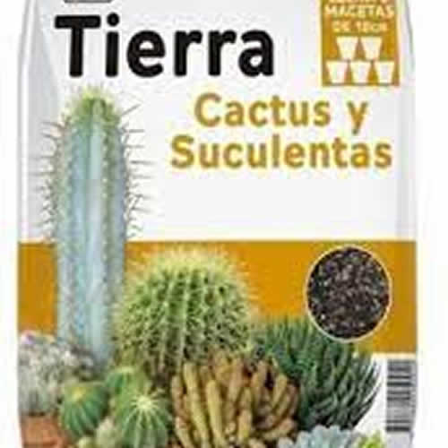 TIERRA CAPTUS Y SUCULENTAS